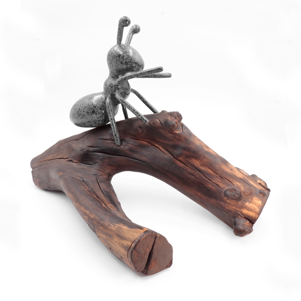 Tomy | Cecile Dutilly